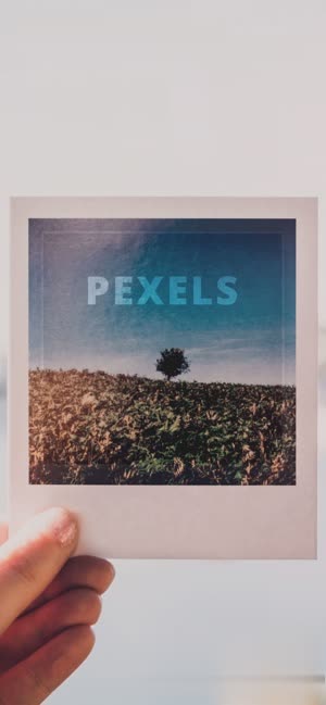 pexels软件截图