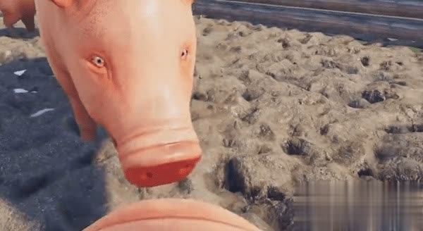 猪猪模拟器游戏截图
