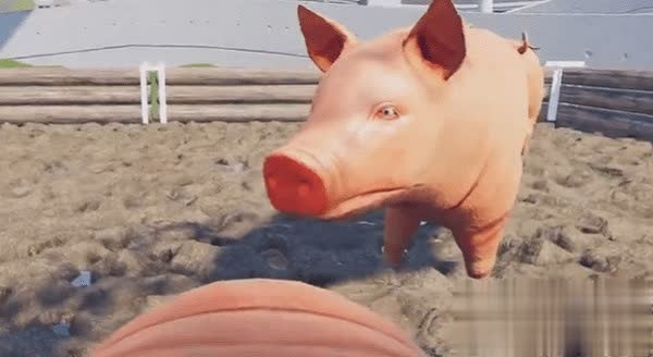 猪猪模拟器游戏截图